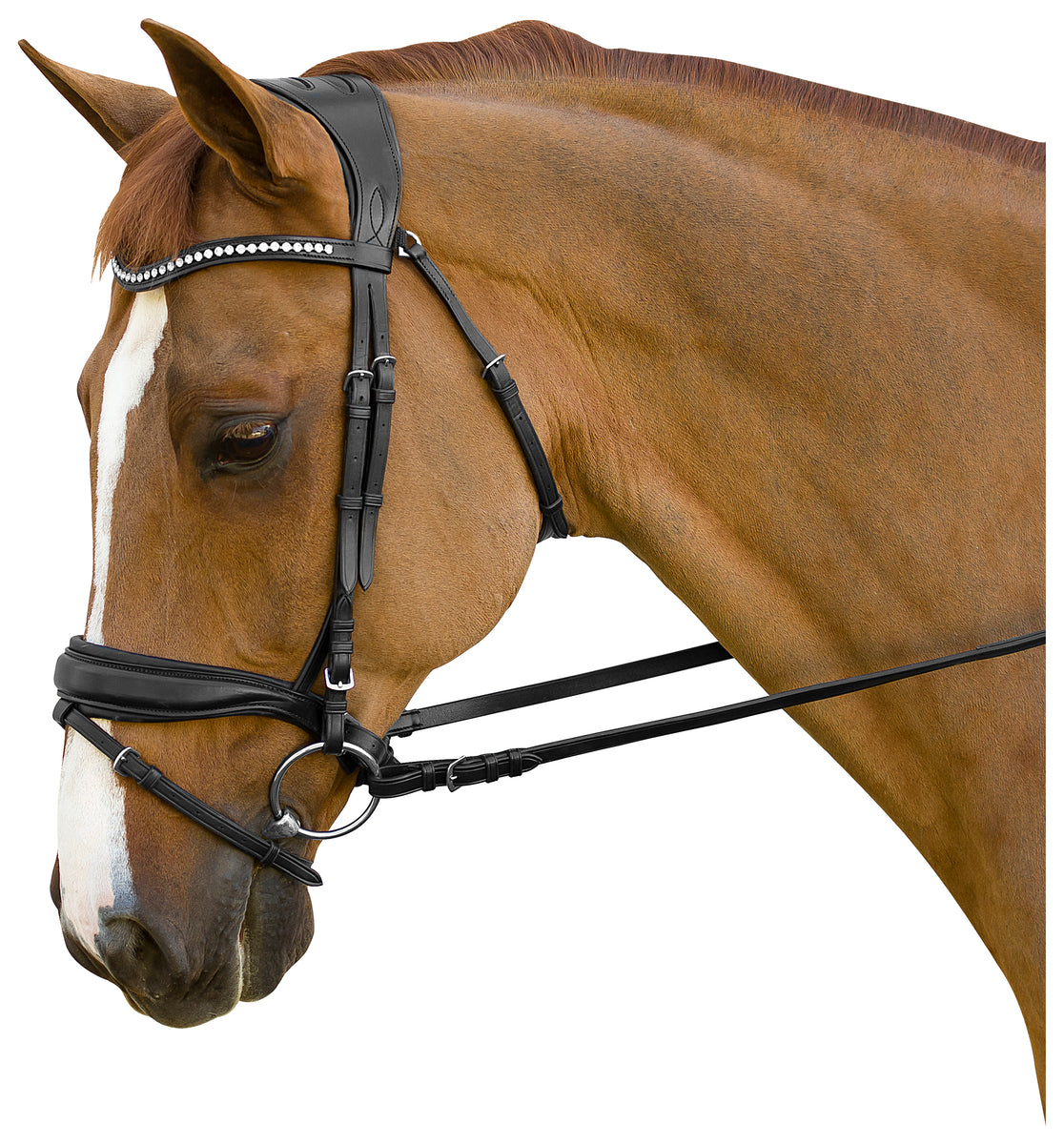 Marcel Toulouse & Flex Rider Bridles – IRH Equestrian