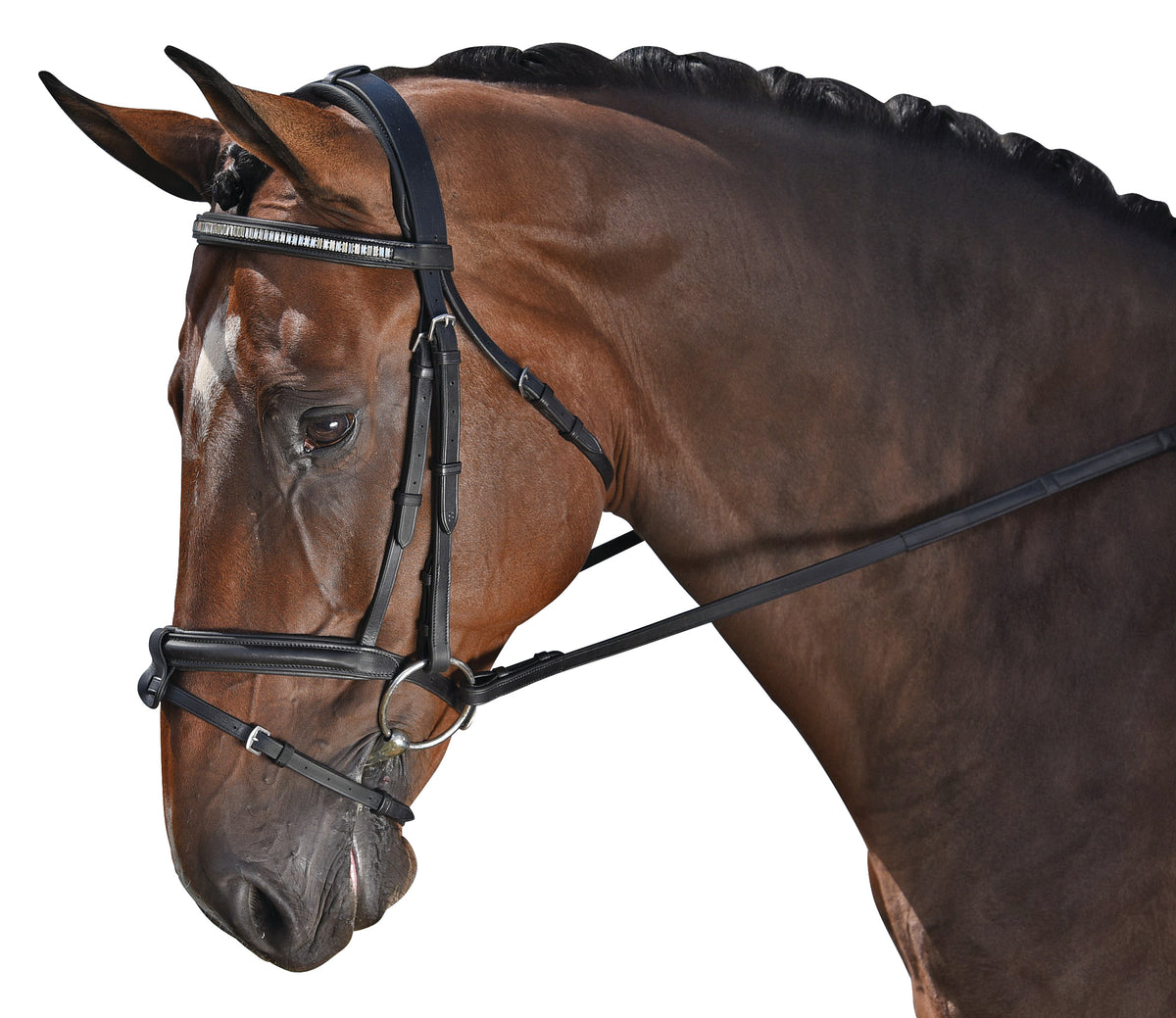 Kieffer SULEIKA Cristal Ergonomique Doux Rembourré Dressage Snaffle