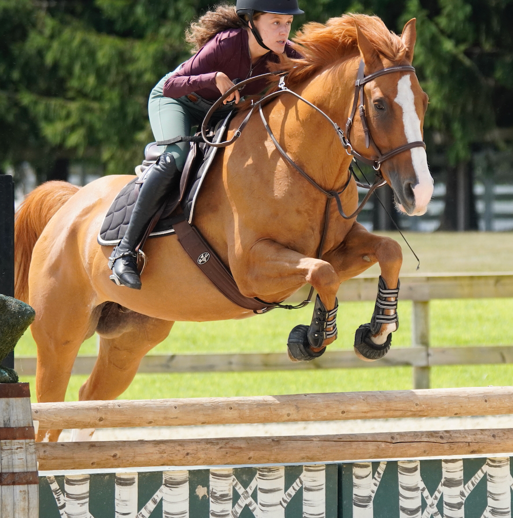 IRH Equestrian welcomes Gianna Trotter to our family of Ambassadors!