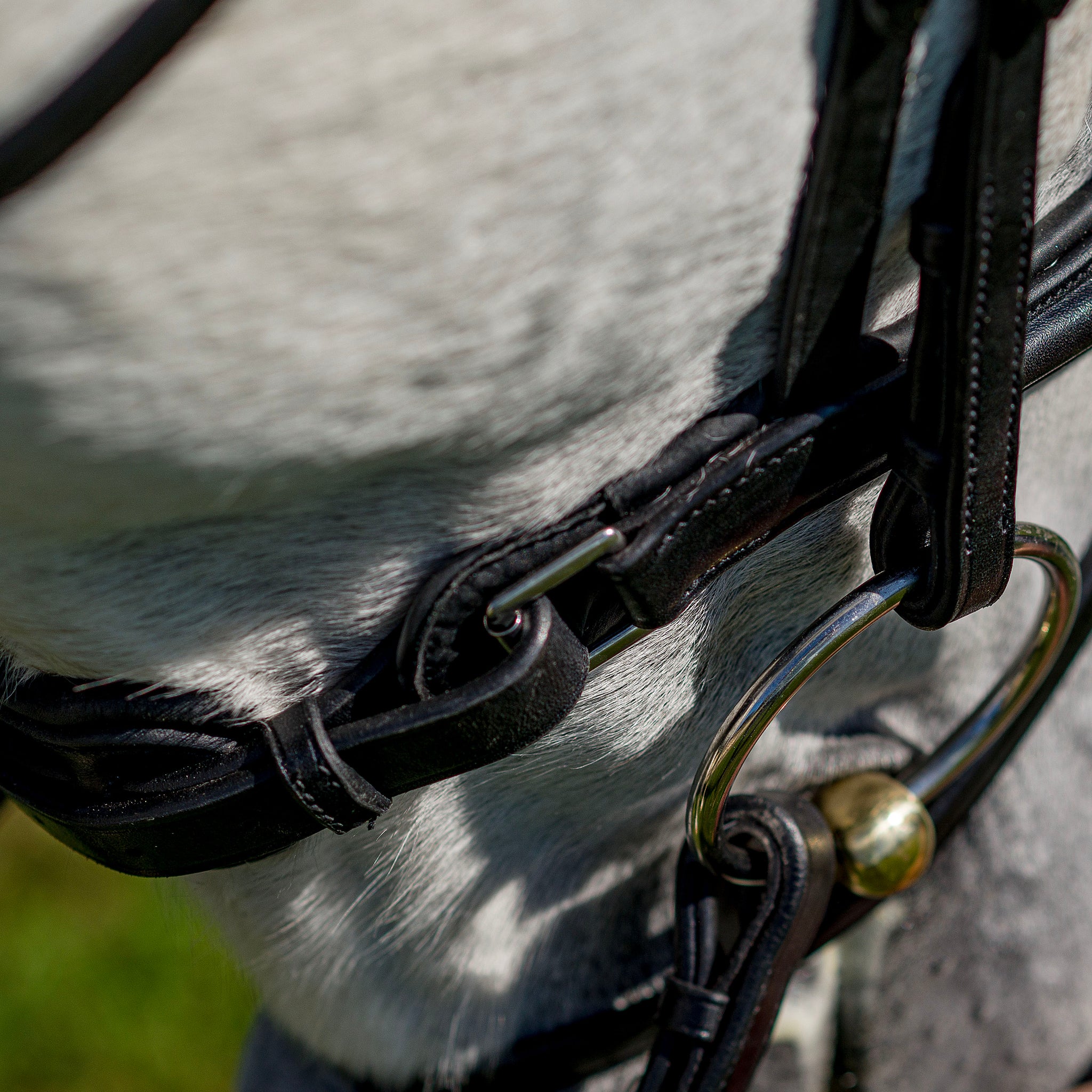 Bride De Dressage Snaffle Monocouronne Rembourrée En Cuir Noir – Idéale Pour Le Travail Quotidien
